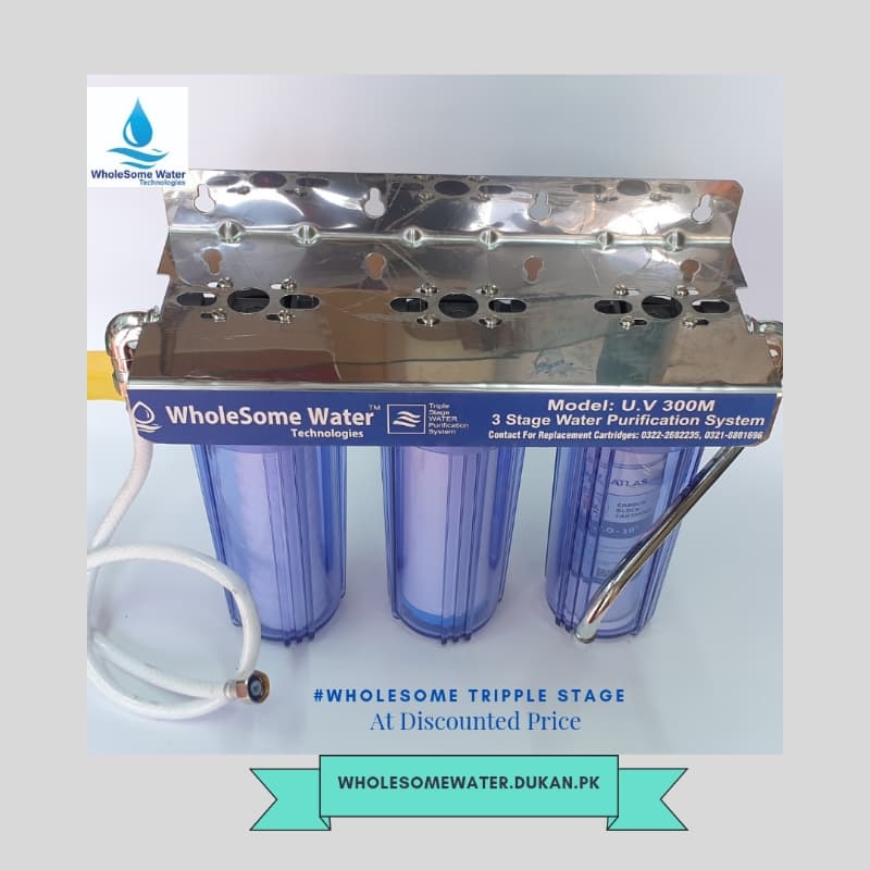 Wholesome - Triple Water Filter imported Vietnam